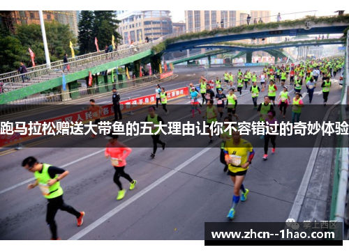 跑马拉松赠送大带鱼的五大理由让你不容错过的奇妙体验