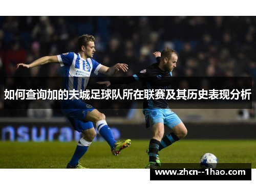 如何查询加的夫城足球队所在联赛及其历史表现分析