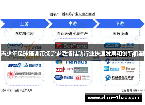 青少年足球培训市场需求激增推动行业快速发展和创新机遇