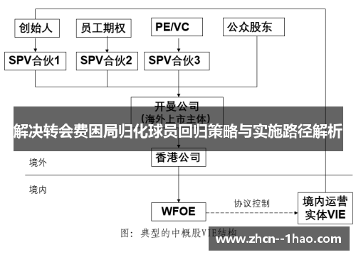 解决转会费困局归化球员回归策略与实施路径解析